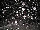 2005-01-23_snow-storm 031.JPG
